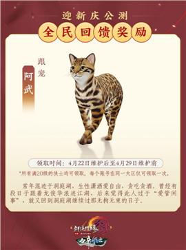 天龙八部私服nbc花瓶
